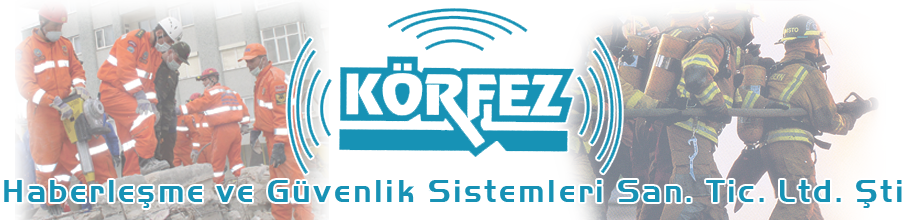 Professional Logo